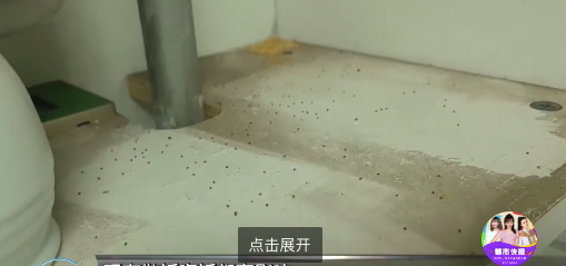 融亿操盘 当心！西安一小区蚂蚁泛滥物业急寻灭蚁之术
