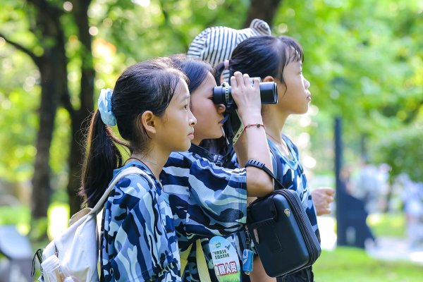 亿配资 记录809种野生鸟类！2025年广州市青少年观鸟比赛决赛在海珠湿地举办