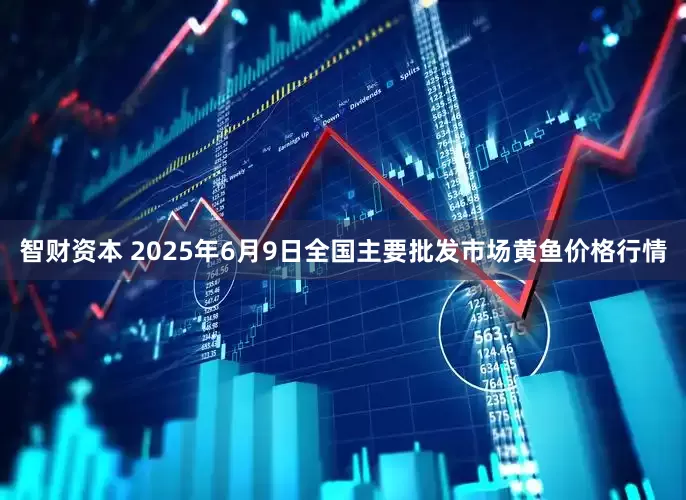 智财资本 2025年6月9日全国主要批发市场黄鱼价格行情