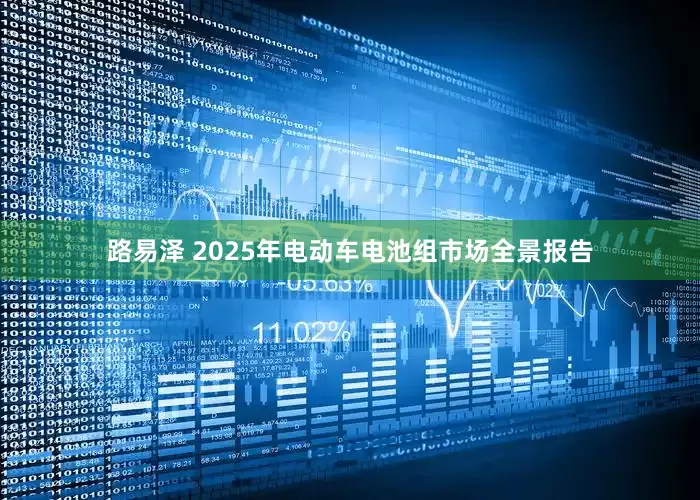 路易泽 2025年电动车电池组市场全景报告